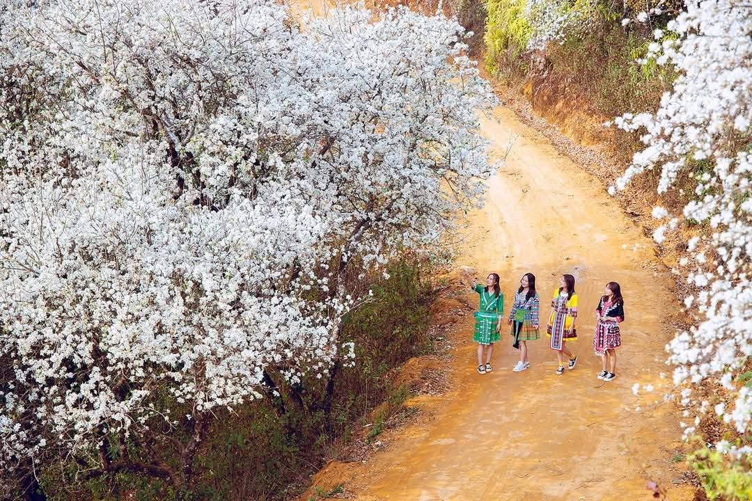 4-Day Cycling Tour: Hanoi to Ngoc Chien & Nam Nghiep
